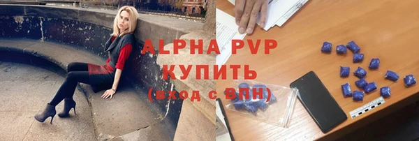 Альфа ПВП Няндома