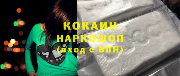 Альфа ПВП Няндома