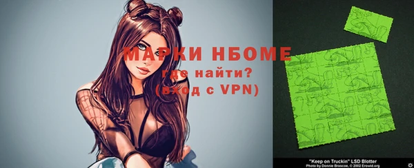 Альфа ПВП Няндома