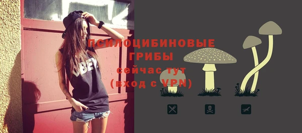 амф Нягань