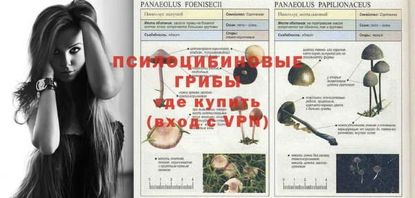 эйфоретик Нязепетровск