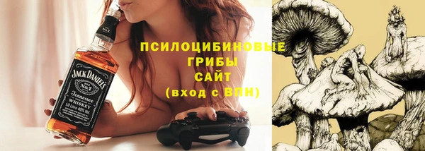 Альфа ПВП Няндома