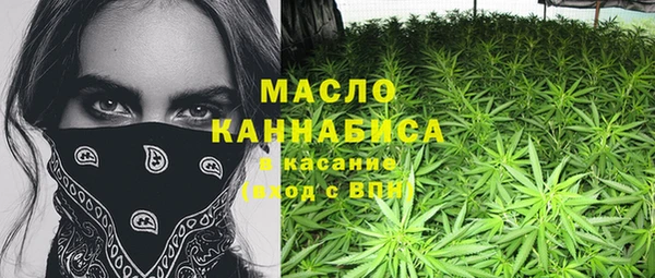 Альфа ПВП Няндома