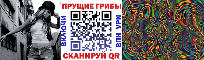 Купить где  Лянтор  Галлюциногенные грибы Psilocybine cubensis 